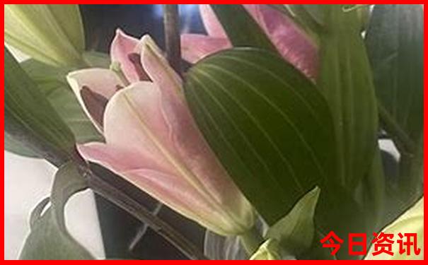 贵州自由行攻略及花费明细